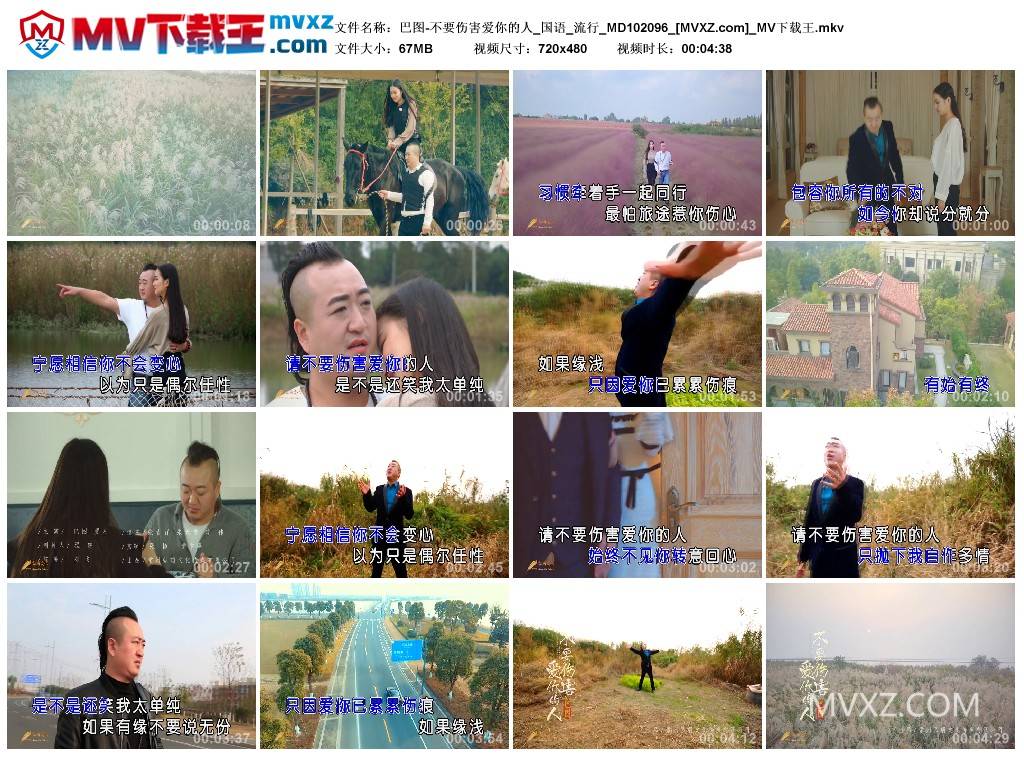 巴图-不要伤害爱你的人_国语_流行_MD102096